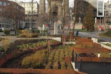 Aurora Bridge Phase 3